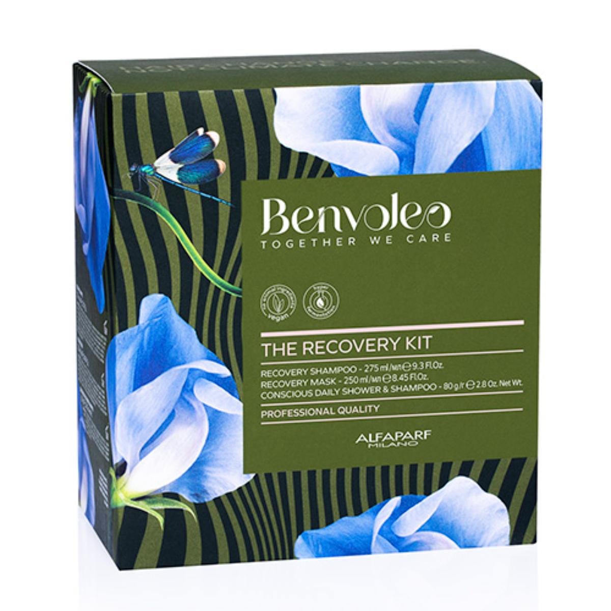 Kit Alfaparf Benvoleo The Recovery