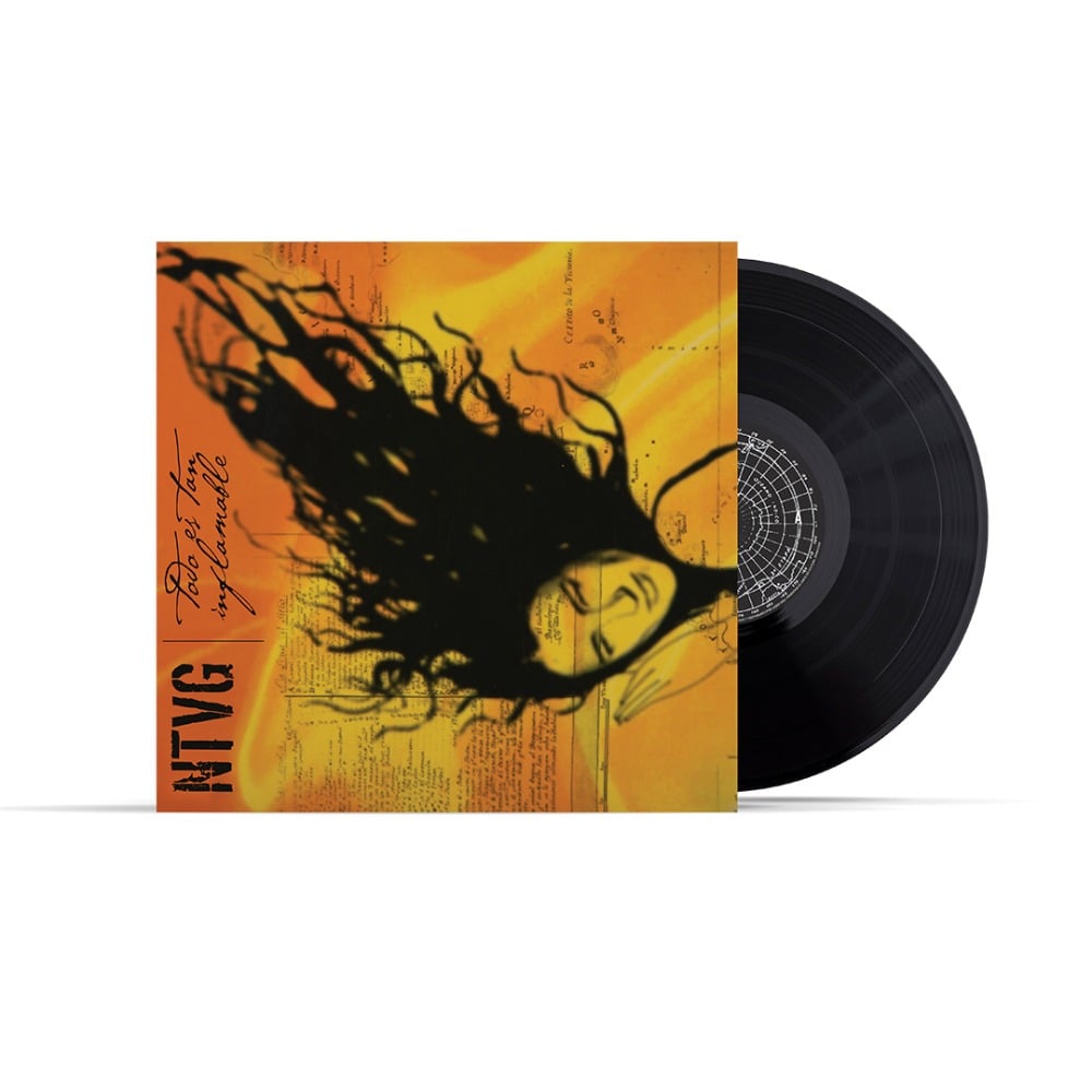 Vinilo No Te Va Gustar Todo Es Tan Inflamable