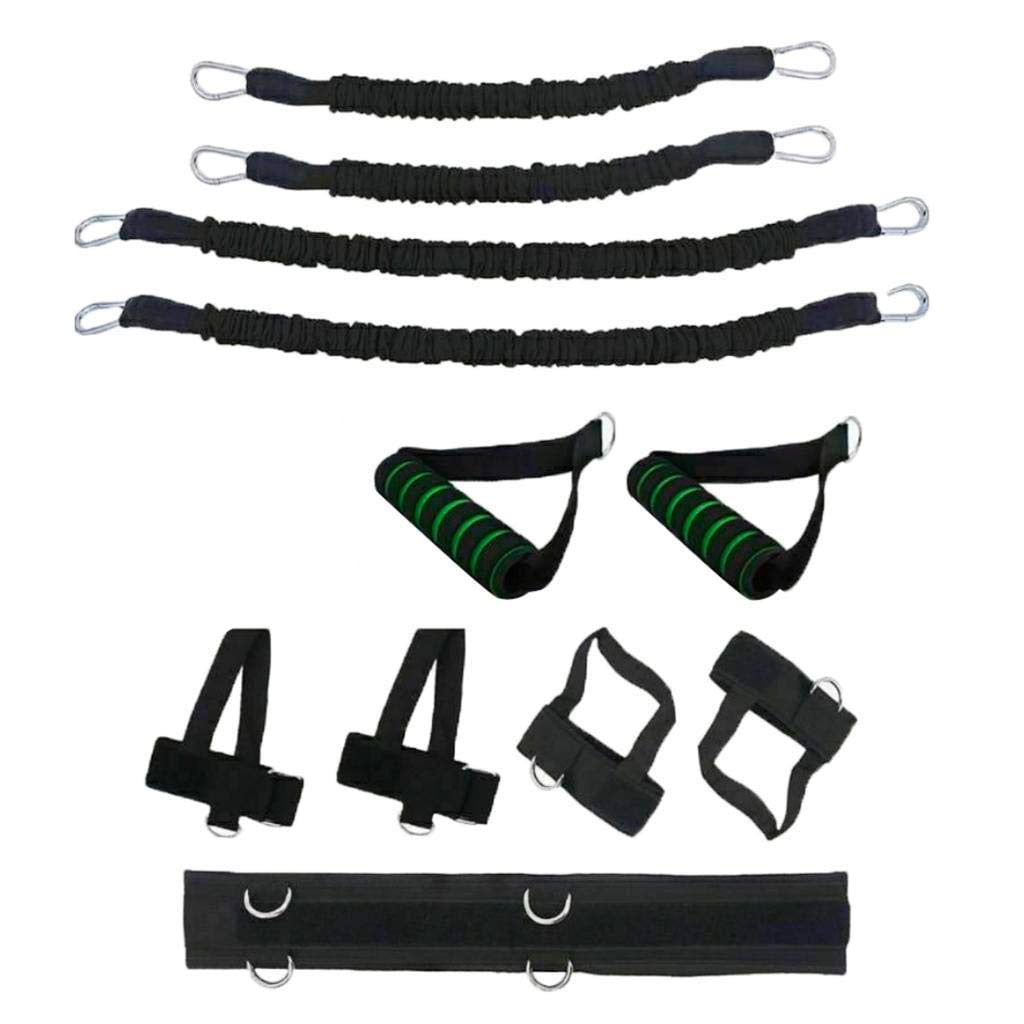 Set Active Training Bandas Elásticas Espalda Brazos y Piernas