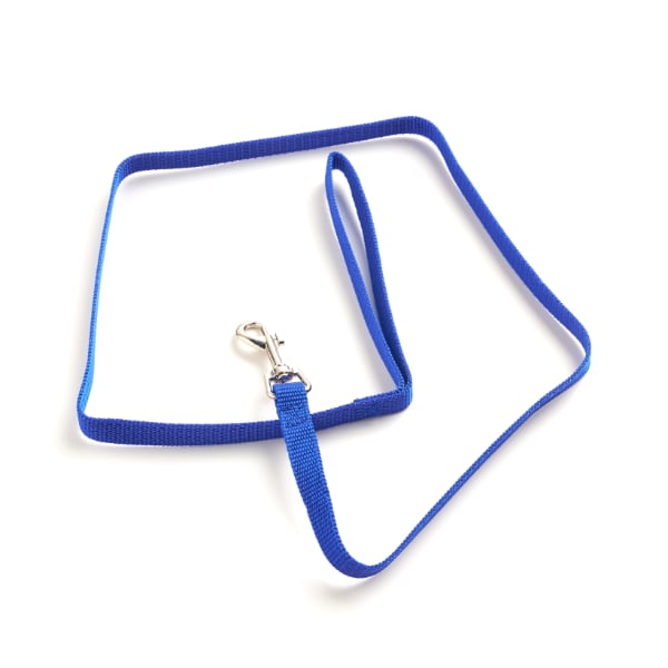 Correa para Mascotas Petshop Colores Surtidos