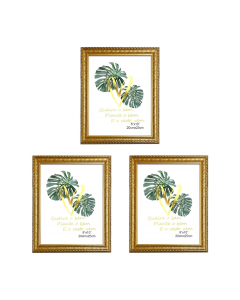 Combo Farma Hogar Marco para Fotografía Farma Hogar 20 x 25 cm 3 Unidades