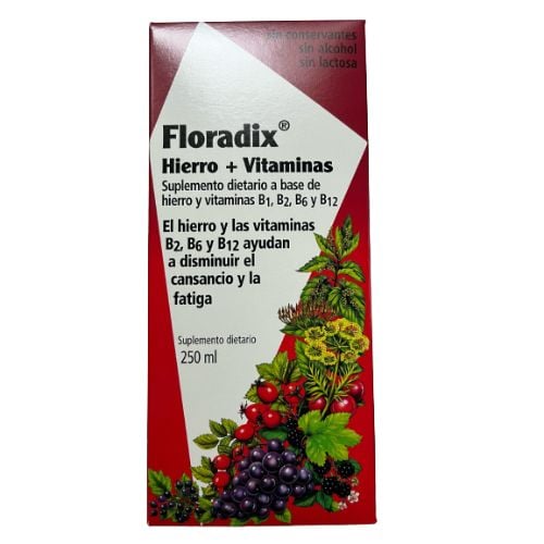 Floradix Jarabe 250 Ml