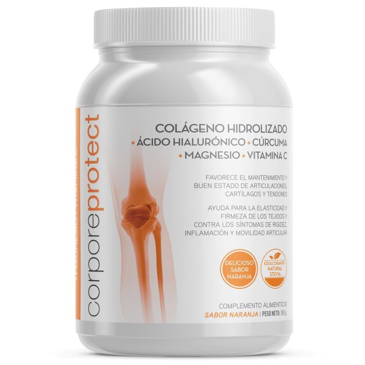 COLAGENO HIDROL PROTECT 300GR NA