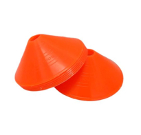 Cono Tortuga