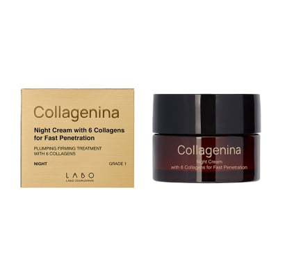 Crema de Noche Grado 1 Collagenina