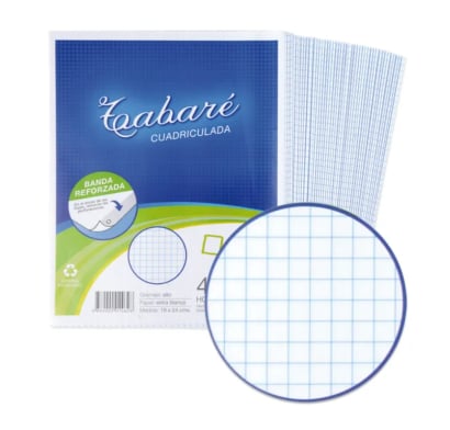 Tabare Hojas Cuadriculadas Pte. 48unid.