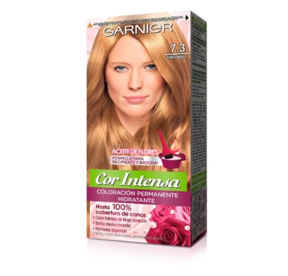 TINTA GARNIER NUTRISSE INTENSE N.º 7.3