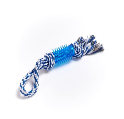 Juego para Mascotas Petshop