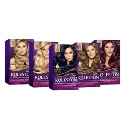 Tinta Koleston Kit