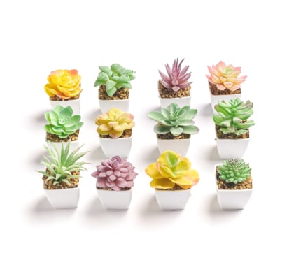 Planta Artificial Farma Hogar Decorativa Diseños Surtidos