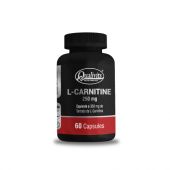 L-CARNITINE 250 MG 60 COMPRIMIDOS