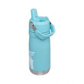 Botella Stanley Flip Classic 500 Ml Edición Especial