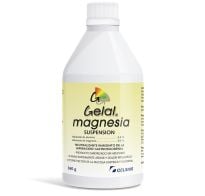 Gelal Magnesia Nf Suspensión 360 G