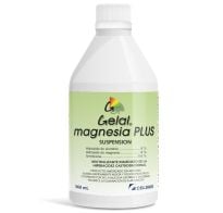 Gelal Magnesia Plus Suspensión 360 Ml