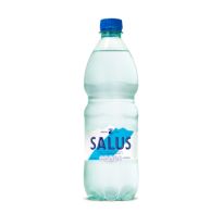 Agua Salus Con Gas 600 Cc