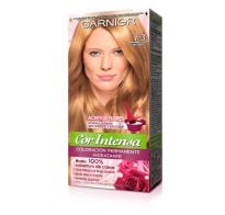 TINTA GARNIER NUTRISSE INTENSE N.º 7.3