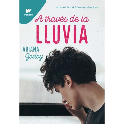 Libro A Través De La Lluvia