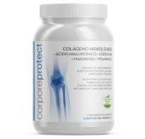 COLAGENO HIDROL PROTECT 300GR NE