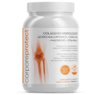 COLAGENO HIDROL PROTECT 300GR NA