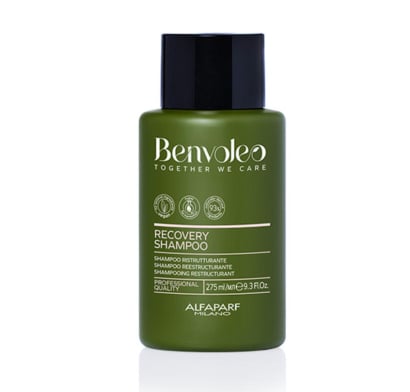 Shampoo Alfaparf Benvoleo Recovery 275 Ml