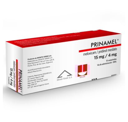 Prinamel 10 Comprimidos