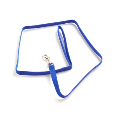 Correa Para Mascotas Petshop Colores Surtidos
