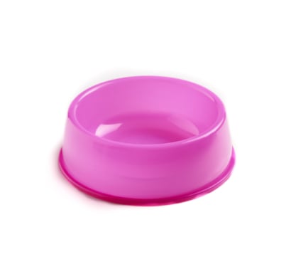 Plato Para Mascotas Petshop Colores Surtidos