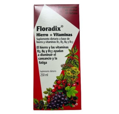 Floradix Jarabe 250 Ml