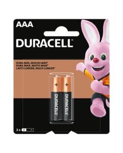 Pilas Duracell Aaa 2 Unidades