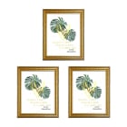 Combo Farma Hogar Marco para Fotografía Farma Hogar 20 x 25 cm 3 Unidades